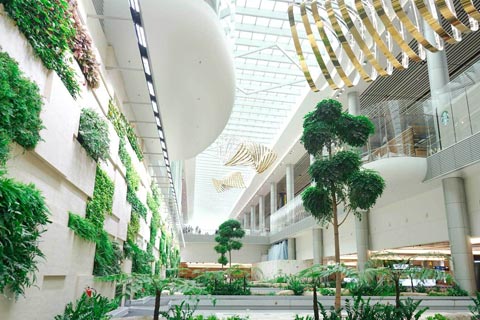 Hospedaje alternativo Singapur Alojamiento alternativo Singapur