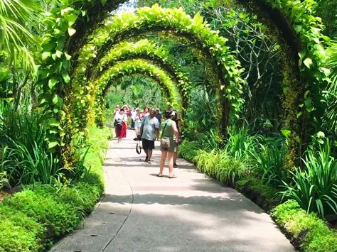 Jardín Botánico Orchard Singapur