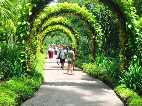 Jardín Botánico Orchard Singapur Jardín Botánico Orchard Singapur