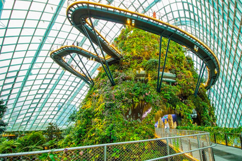 Gardens by the Bay Gardens by the Bay