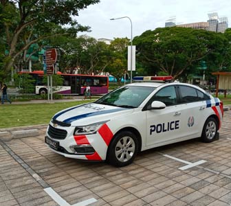 Normas de Singapur Normas de Singapur